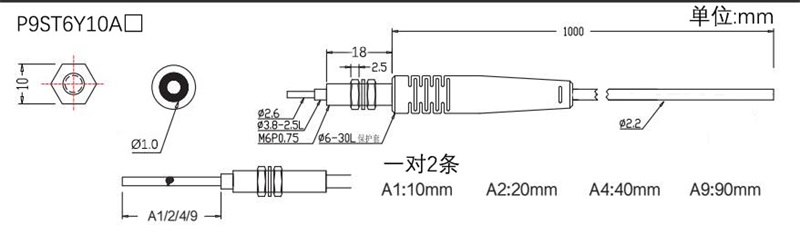 P9ST6Y10-A.jpg